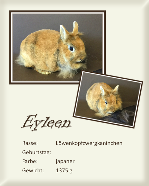 Eyleen